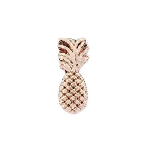 Charm alloy piña - LM24-R