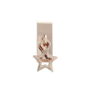 Charm alloy estrella - LM25-R