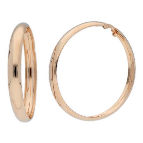 Pendientes plata - LAF2095A-R