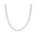 Collar plata y perlas 6mm - LAF6420CL-6